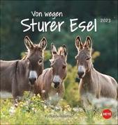 Esel - Von wegen sturer Esel Postkartenkalender 2023. Kleiner Kalender zum Aufstellen und Aufhängen im Postkartenformat. Monats-Tischkalender für Tierfreunde