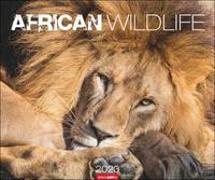 African Wildlife Kalender 2023. Die Tierwelt Afrikas in atemberaubenden Fotos festgehalten für einen großen Wandkalender. Fotokalender mit Wow-Faktor