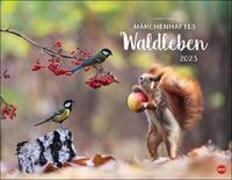 Trunov Märchenhaftes Waldleben Posterkalender. Naturkalender 2023 gestaltet vom russischen Naturfotografen Vadim Trunov. Fotokalender 2023 im Querformat. 44x34cm