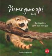 Never give up! Postkartenkalender 2023. Süße Tiere in einem Postkarten-Fotokalender mit motivierenden Botschaften. Kleiner Kalender zum Aufstellen und Aufhängen