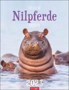 Der kleine Nilpferde-Kalender 2023. Praktischer Posterkalender mit Platz für Termine und tollen Nilpferd-Fotos zum Staunen und Schmunzeln. Foto-Wandplaner 2023