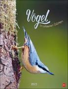 Vögel in unseren Gärten Posterkalender 2023. Viele Fotos und informative Texte zu 12 Vogelarten in einem Wandkalender-Großformat. Dekorativer Kalender mit Mehrwert für Tierfreunde
