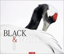 Black & White Wandkalender 2023 Großformat. XXL-Kalender 2023 mit Landschaften und Tieren in kunstvollem Schwarz-Weiß-Stil. Querformat 55x46 cm
