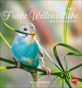 Freche Wellensittiche Postkartenkalender 2023 von Monika Wegler. Die bunten Vögel in einem kleinen Kalender zum Aufstellen und Aufhängen. Perforierter Postkarten-Fotokalender