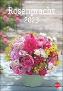 Rosenpracht Kalender 2023. Wandkalender mit 12 prachtvollen Fotos der schönsten Rosen. Dekorativer Bildkalender mit Platz für Termine und Notizen