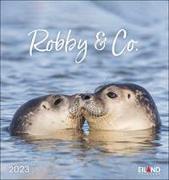 Robby & Co Postkartenkalender 2023. Robben und Seehunde in natürlicher Umgebung in einem kleinen Kalender. Postkarten-Fotokalender für Tierfreunde