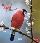 Vögel in unseren Gärten Postkartenkalender 2023. Ein kleiner Kalender zum Aufstellen und Aufhängen mit den 12 häufigsten Gartenvogelarten. Postkarten-Fotokalender zum Heraustrennen