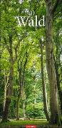 Im Wald Kalender 2023. Die heimischen Wälder in faszinierenden Fotos dargestellt in einem XXL Kalender. Bäume und Co. in einem länglichen Kalender