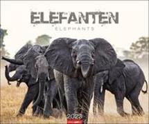 Elefanten Kalender 2023. Die sanften Riesen Afrikas, porträtiert in einem großen Wandkalender. Hochwertiger Fotokalender voll beeindruckender Tieraufnahmen