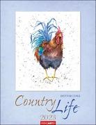 Country Life Kalender 2023. Wandkalender mit liebevoll gestalteten Tierbildern der Illustratorin und Zoologin Hannah Dale. Kunstvoller Tierkalender 2023 im Format 34x44 cm