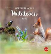 Vadim Trunov: Märchenhaftes Waldleben Postkartenkalender 2023. Der russische Tierfotograf fängt den Zauber der Wälder in einem kleinen Kalender ein. Süßer Tierkalender 2023
