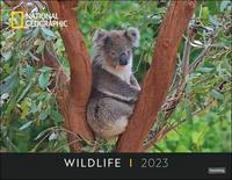 Wildlife Posterkalender National Geographic 2023. Faszinierender großformatiger Kalender mit Tierfotos von weltweiten Expeditionen. Hochwertiger Fotokalender für Naturfreunde
