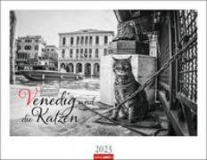 Venedig und die Katzen Kalender 2023. Samtpfoten in der Lagunenstadt, eingefangen in einem großen Wandkalender in schwarz-weiß. Hochwertiger Fotokalender im Großformat für Katzenliebhaber