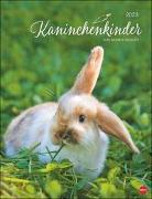 Kaninchenkinder Posterkalender 2023 von Monika Wegler. Ein bezaubernder Tierkalender mit süßen Fotos. Dekorativer Kalender für Tierfreunde. Hochformat 34x44 cm
