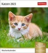 Katzen Postkartenkalender 2023. Jede Woche ein süßes Kätzchen im Postkarten-Fotokalender. Tisch-Kalender für Katzenfans, mit 53 Postkarten zum Sammeln und Verschicken. Auch zum Aufhängen