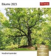 Bäume Postkartenkalender 2023. Fotokalender mit 53 Postkarten zum Sammeln und Verschicken. Dekorative Baum-Aufnahmen von bekannten Fotografen. Kleiner Tischkalender 2023