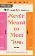 Never Meant to Meet You