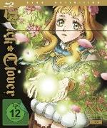 Black Clover Vol. 15 (Staffel 3)