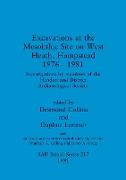 Excavations at the Mesolithic Site on West Heath, Hampstead 1976 - 1981