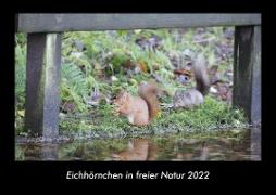 Eichhörnchen in freier Natur 2022 Fotokalender DIN A3