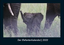 Der Elefantenkalender 2022 Fotokalender DIN A4