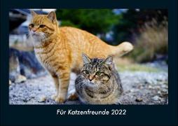 Für Katzenfreunde 2022 Fotokalender DIN A4