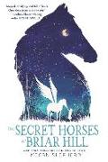 Secret Horses of Briar Hill