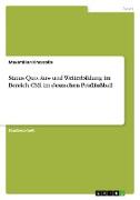 Status Quo. Aus- und Weiterbildung im Bereich CSR im deutschen Profifußball