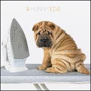 Funny Dogs 2023 - Broschürenkalender 30x30 cm (30x60 geöffnet) - Kalender mit Platz für Notizen - Hunde - Bildkalender - Wandkalender - Hundekalender