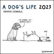 A Dog's Life 2023 - Wand-Kalender - Broschüren-Kalender - 30x30 - 30x60 geöffnet - Hunde - Cartoon