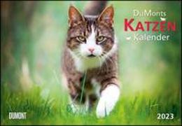 DUMONTS Katzenkalender 2023 - Broschürenkalender - Wandkalender - mit Schulferienterminen - Format 42 x 29 cm