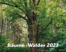 Bäume-Wälder 2023