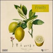 Fruits 2023 ‒ Broschürenkalender ‒ mit historischen Abbildungen alter Obstsorten von Pierre Antoine Poiteau ‒ Format 30 x 30 cm