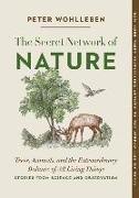 The Secret Network of Nature: Trees, Animals, and the Extraordinary Balance of All Living Things-- Stories from Science and Observation