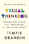 Visual Thinking