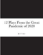 12 Plays From the Great Pandemic of 2020