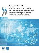 Unlocking the Potential of Youth Entrepreneurship in Developing Countries: From Subsistence to Performance