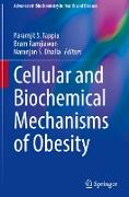 Cellular and Biochemical Mechanisms of Obesity