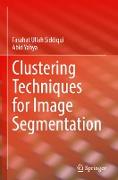 Clustering Techniques for Image Segmentation