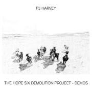 The Hope Six Demolition Project-Demos