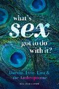 What's Sex Got To Do With It?