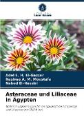 Asteraceae und Liliaceae in Ägypten