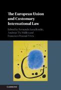 The European Union and Customary International Law