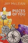 Pieces of You (Alternate Cover)