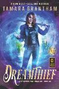 Dreamthief: An Urban Fantasy Fairy Tale