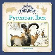 Pyrenean Ibex