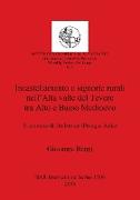 Incastellamento e signorie rurali nell'Alta valle del Tevere tra Alto e Basso Medioevo