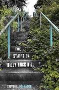 The Stairs on Billy Buck Hill