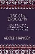 A Boy in Brooklyn: Growing Up in a Norwegian Colony in the 1940s and '50s