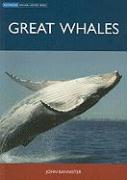 Great Whales